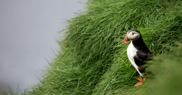 Source: Pexels/Hari Nandakumar