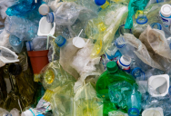 You’re Doing The Right Thing By Recycling Your Plastic, But Is Your Plastic Actually Getting Recycled?