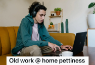 Work From Home Employee Had To Put Up With An Enraged Client, But The Employee Found A Way To Get Revenge Without Risking Job Security