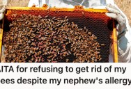 He Wants To Throw A July 4th Party For His Family, But One Of Them Wants Him To Get Rid Of His Bees Because A Young Nephew Is Allergic To Them