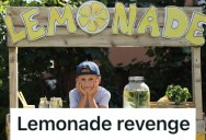 Neighborhood Bully Kept Stealing Their Lemonade, So They Mixed Up A Gross Concoction And Made Him Sick