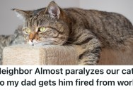 A Neighbor Almost Paralyzes The Family’s Cat, So He Went Nuclear And Got Him Fired