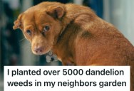 A Neighbor Threatened Their Dog, So They Made Sure Their Lawn Will Never Look the Same Ever Again.