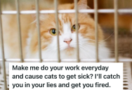 Animal Shelter Employee Was Too Lazy To Clean Properly, So Another Employee Plotted Revenge For Having To Pick Up The Slack