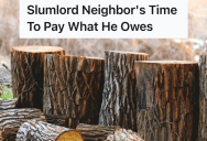 His Neighbor Claimed He Couldn’t Afford To Split The Cost Of Removing The Trees Growing On The Property Line, But Eventually He Had to Cough Up The Money