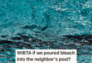 Neighbor’s Pool Gets Overrun With Mosquitoes, So He Wants To Trespass And Fill It With Bleach