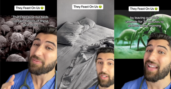 Source: TikTok/@drsermedmezher