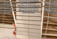 ‘Hopefully my things don’t get stolen.’ – Tenant Moved Into An Apartment And Discovers That One Of The Windows Is Missing