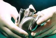 The First Titanium Artificial Heart Was Successfully Implanted Into Human Patient During Clinical Trial