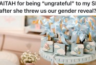 Her Sister-In-Law Wants To Celebrate Rainbow Baby With Everyone, But Her Big Reveal Causes Big Drama Instead