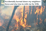 He Accidentally Burned His Neighbor’s House Down, So She Tried To Scam Him For A Brand New Fence And Landscaping. So He Took Her To Court And The Judge Said She’s Out Of Her Mind.