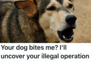 A Dog Bit Them And They Were Going To Drop Charges Against The Owner, But After They Found Out She Was Abusing And Selling Animals They Took A Different Tact