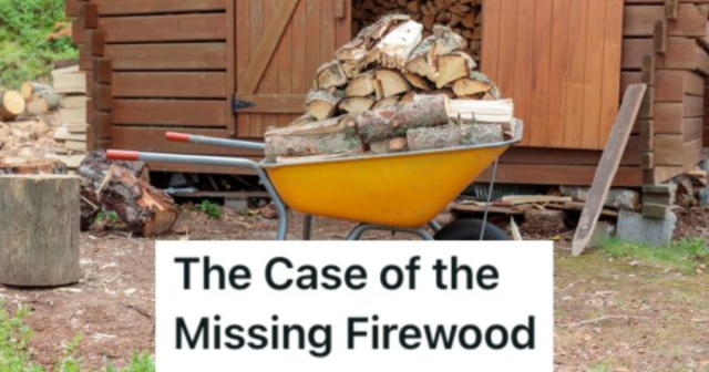 FirewoodRevengeRedo.png?w=640