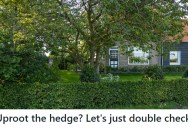 Neighbor Demands Hedge Removal For Property Line Dispute, Only To Discover Her Garage  Is Actually The Problem