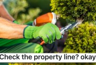 A Neighbor Told A Landscaper Next Door To Respect Their Property Line Very Specifically, But It Ends Up Making Them Extremely Upset With The Results