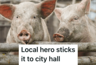 Pushy Developers Tried To Pressure A Man Into Selling His Land, So He Put A Pig Farm On The Property To Shut Them Up For Good