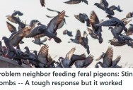 Neighbor Attracts Hundreds Of Pigeons, Forcing Frustrated Residents To Take Matters Into Their Own Hands In Order To Send Them Away