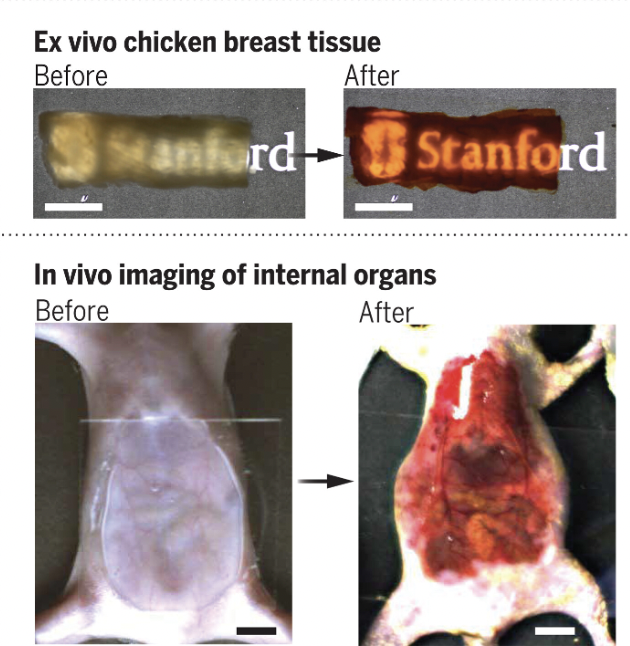 Source: Zihao Ou, et al