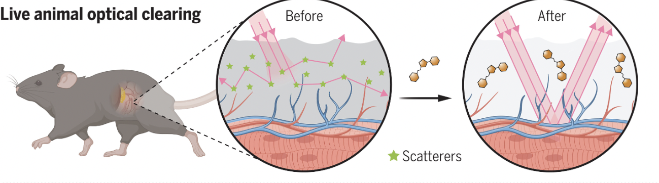 Source: Zihao Ou, et al