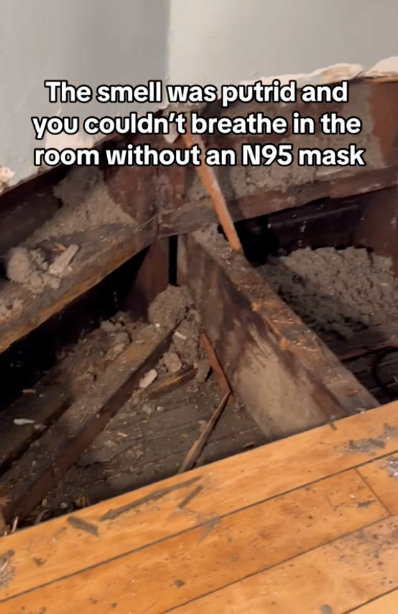 Screen Shot 2024 10 24 at 8.36.40 AM The smell was putrid and you couldnt breathe.   Homeowner Talked About Why The House She Bought Turned Into A Nightmare