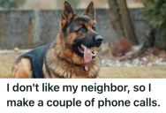 His Neighbor Abused His Dogs And Blared Music, So He Reported His Illegal Activities And Never Saw Him Again