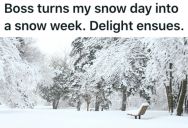 Employee Couldn’t Make It Into Work Because Of The Snow, So His Boss Sarcastically Gives Him The Week Off… So He Took It