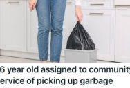 Teenager Had To Pick Up Trash For Community Service, But They Decided To Grab Trash From A Friend’s House And Take The Rest Of The Day Off