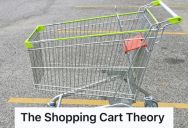 Entitled Lady Left Her Shopping Cart On Another Customer’s Parking Spot, So They Took The Matters Into Their Own Hands And Taught Her A Lesson