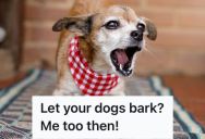 Homeowner Is Fed Up With His Neighbors’ Dogs Barking At Night, So He Barks Back To Shut Them Up