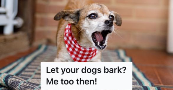 Source: Reddit/PettyRevenge/Canva