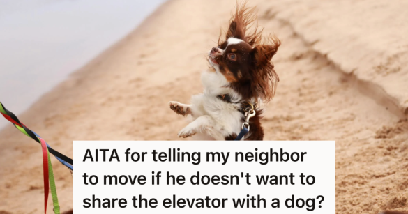 Source: Reddit/AITA/Pexels/Efrem Efre