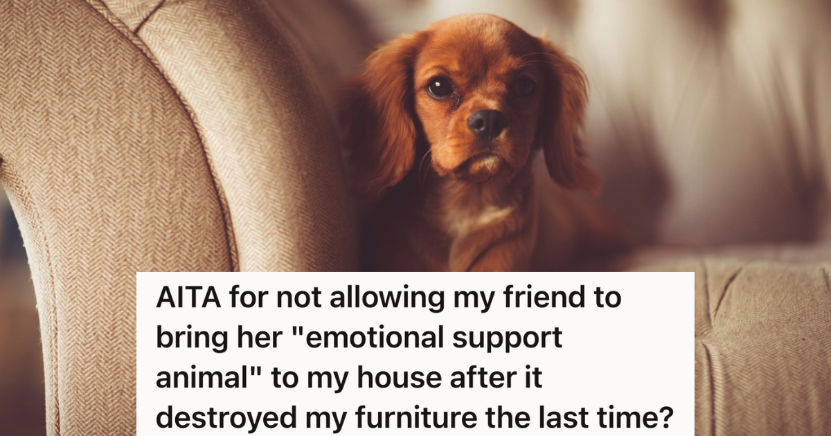 Her Friend’s Dog Destroyed Her Couch, But Her Friend Thinks She Should Still Be Able To Bring Her “Emotional Support” Animal Into Her House