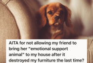 Her Friend’s Dog Destroyed Her Couch, But Her Friend Thinks She Should Still Be Able To Bring Her “Emotional Support” Animal Into Her House