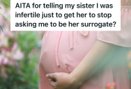 She Lied To Her Sister About Being Infertile As An Excuse Not To Be Her Surrogate, But Now That She’s Pregnant Her Sister Is Furious