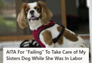 Sister Accuses Her Of Failing To Care For Her Dog While She Was In Labor, And Now They’re Not On Speaking Terms