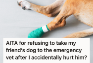 Well-Meaning Guest Stepped On A Golden Retriever’s Paw, So A Lighthearted Game Night Turned Into A Swirl Of Accusations And A Ruffled Relationship