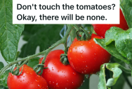 Homeowner’s Tomato Seeds Spread To The Front Yard So She Tended Them, But When Her Neighbor Disputed Whose Plants They Were She Stopped Watering Them