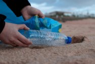 Water-Borne Bacteria May Be The Secret To Breaking Down Plastics