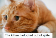 An Insensitive Kid Wanted To Keep A Kitten She’d Mistreated, But She Told Him She’d Already Paid For It And Adopted It Herself