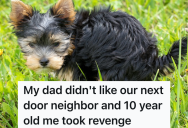 Next Door Neighbors Didn’t Like Homeowners, So They Leave Their Dog Outside All Day. So A 10-Year-Old Got Revenge When Picking Up The Dog’s Mess.