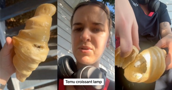 Source: TikTok/@froginahatgirl