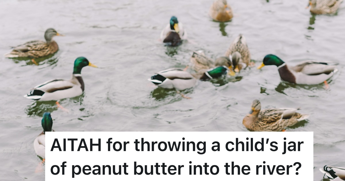 A Mean-Spirited Child Was Feeding Peanut Butter-Covered Stones To Geese ...