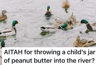 A Mean-Spirited Child Was Feeding Peanut Butter-Covered Stones To Geese, So This Man Chucked His Jar Into A River