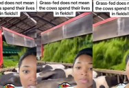 Consumer Shows What Grass-Fed Beef Labels Really Mean For A Cow’s Life. – ‘I have never felt more bamboozled in my life.’