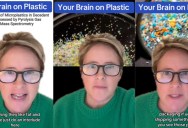 Doctor Warns That Microplastics Accumulate In Our Brains And Shares Three Tips To  Avoid Them. – ‘Don’t heat any of your food in plastic.’