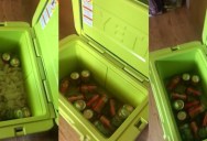 Yeti Customer Shares Why She Thinks She Got Ripped Off After Buying An Expensive Cooler. – ‘Here you go folks. The ice is completely melted.’