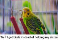 Hard-Working Woman Wanted To Get Birds In Her Remodelled Home, But Her Sisters Demanded She Spend The Money On Them Instead