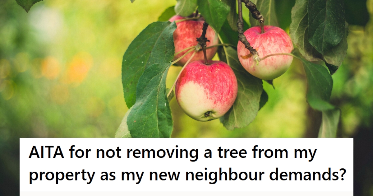 Neighbors Want A Homeowner To Cut Down His Late Grandparent’s Apple Tree So Their Hot Tub Can Get Sun, But He Says No Because They Rubbed Him The Wrong Way