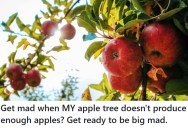 Entitled Neighbor Complains When Apple Trees Don’t Produce Enough, So Homeowner Chops Them Down For Good