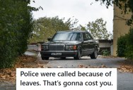 Neighbor Calls Cops Over A Few Leaves Blown Into His Driveway And Ends Up Facing Fines For His Unregistered Car